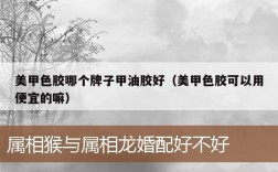 美甲色胶哪个牌子甲油胶好（美甲色胶可以用便宜的嘛）