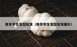 男生学生发型短发（男生学生发型短发图片）