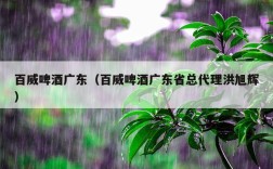 百威啤酒广东（百威啤酒广东省总代理洪旭辉）
