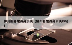 柳州的卧龙湖高尔夫（柳州卧龙湖高尔夫球场）
