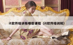 it软件培训有哪些课程（it软件培训班）